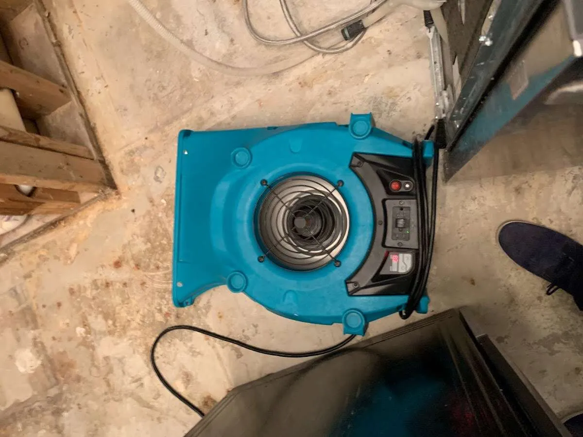 Air mover drying equipment for Mold Remediation & Removal in Stamford